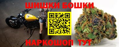 стаф Будённовск