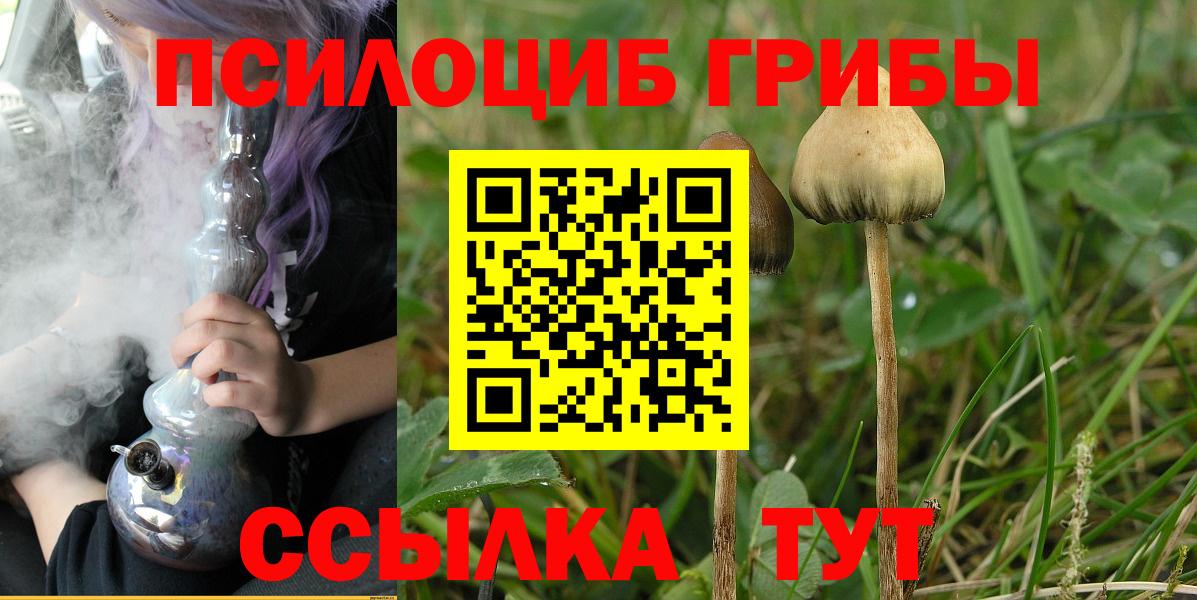 Псилоцибиновые грибы прущие грибы Новоалександровск