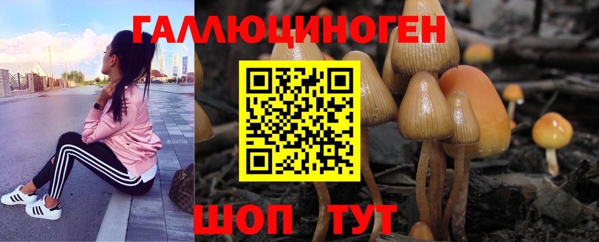 Галлюциногенные грибы ЛСД  Вход с VPN  Новоалександровск  Псилоцибиновые грибы MAGIC MUSHROOMS 